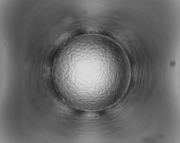 X0000090900619200708131353