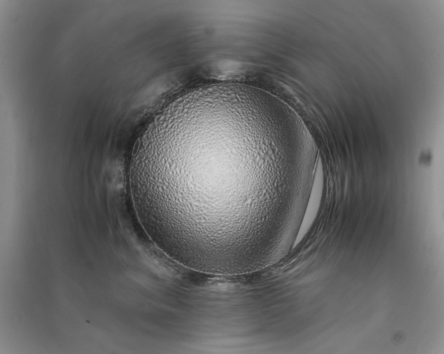 X0000090900620200708131353