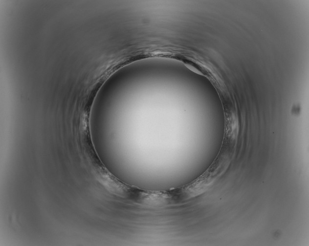 X0000090900621200708131353