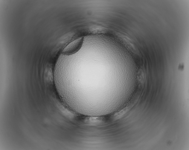 X0000090900622200708131353