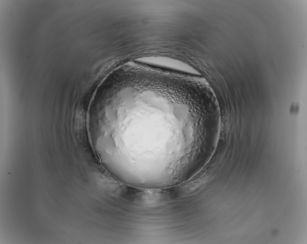 X0000090900623200708131353