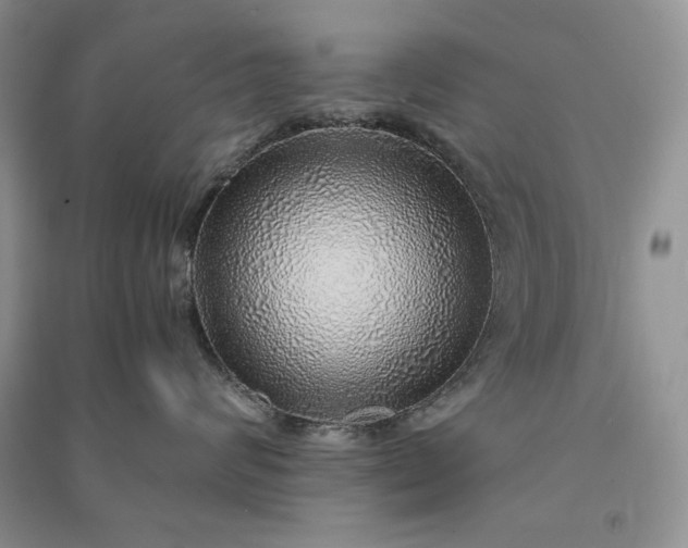 X0000090900624200708131353