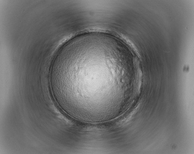 X0000090900625200708131353