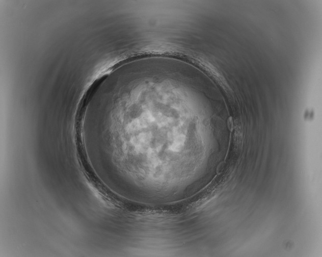 X0000090900626200708131353