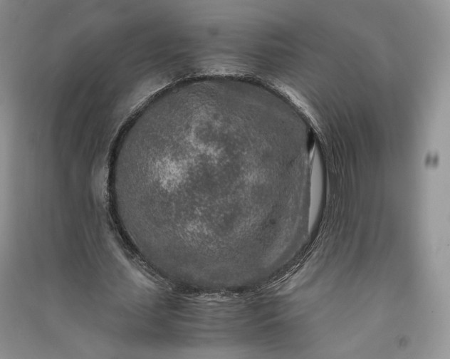 X0000090900627200708131353
