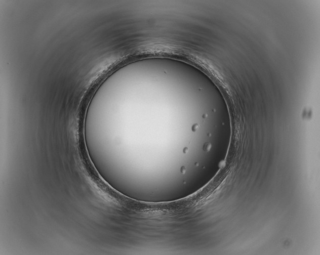X0000090900629200708131353