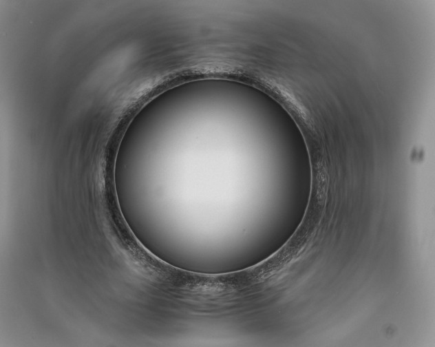 X0000090900631200708131353