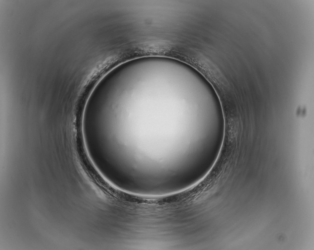 X0000090900634200708131353