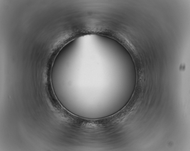 X0000090900635200708131353