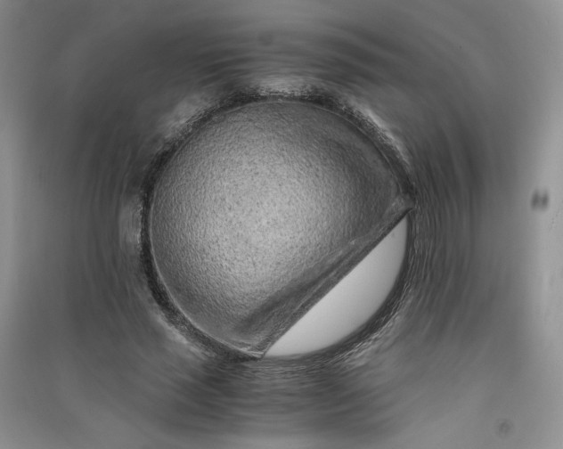 X0000090900637200708131353