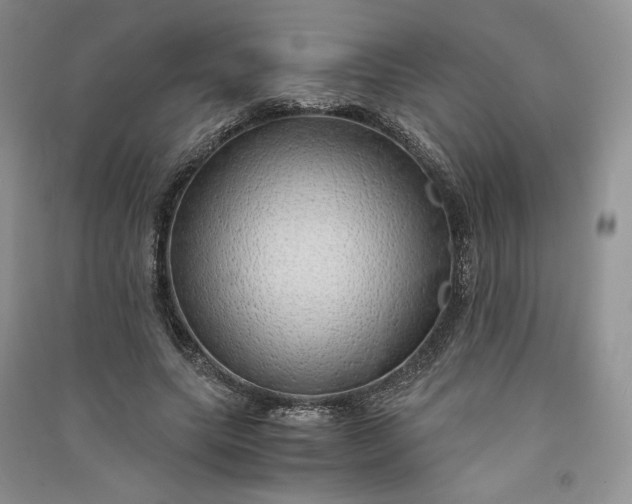 X0000090900639200708131353