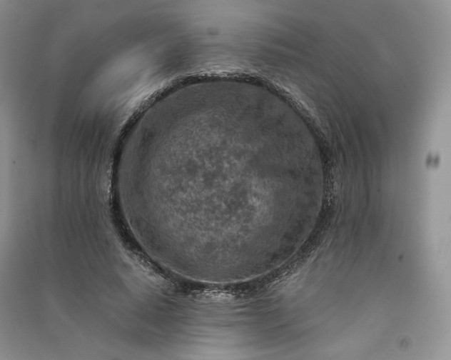X0000090900640200708131353