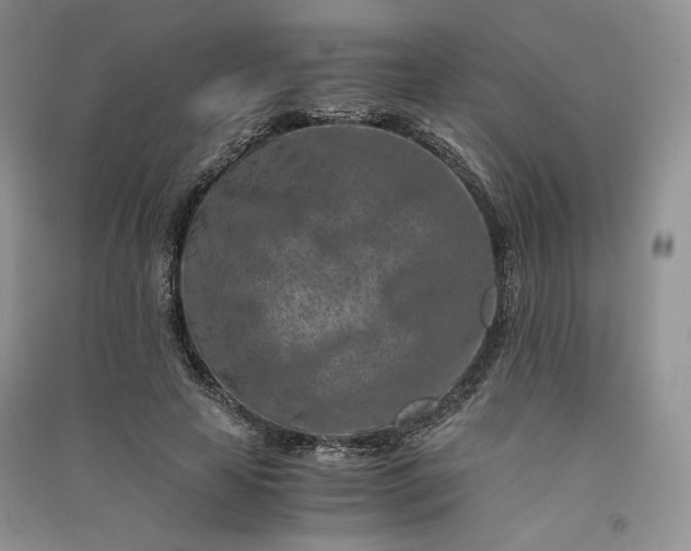 X0000090900641200708131353
