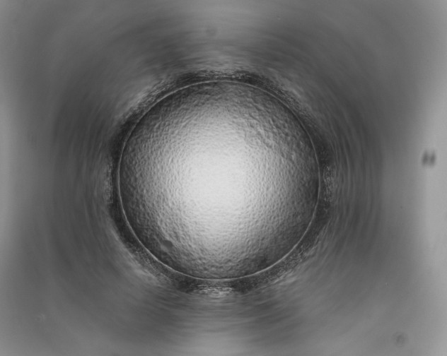 X0000090900642200708131353