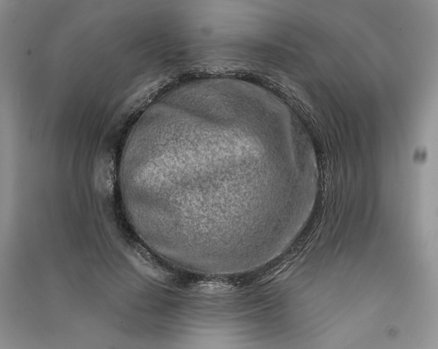 X0000090900644200708131353