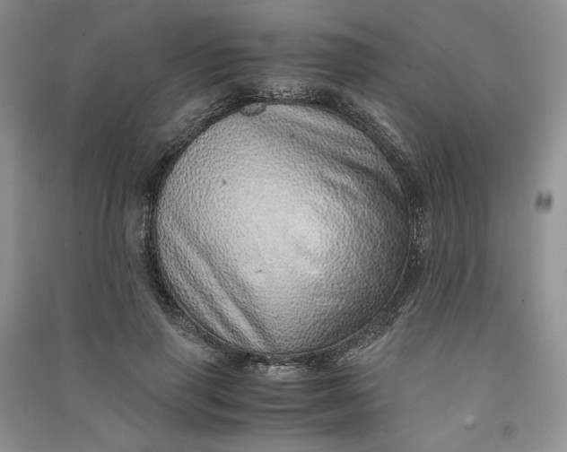 X0000090900645200708131353