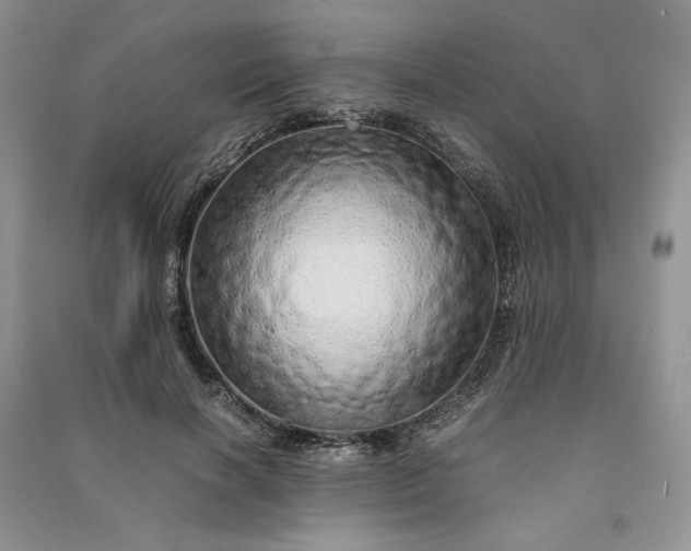 X0000090900646200708131353