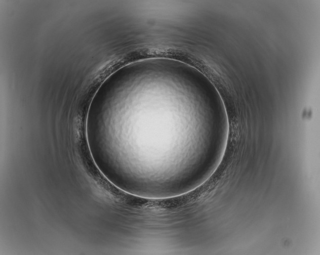 X0000090900648200708131353