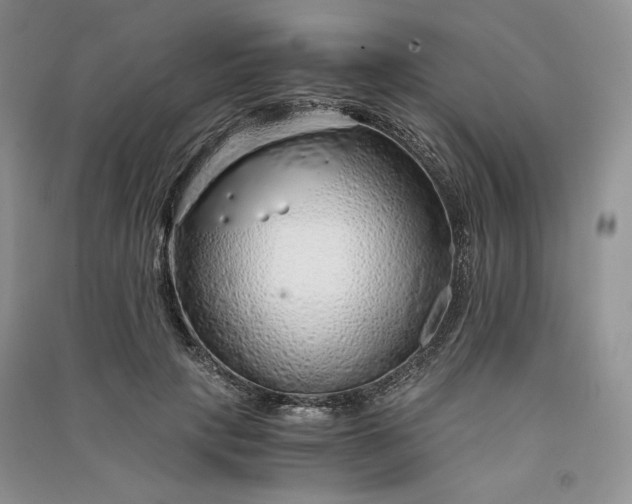 X0000090900649200708131353