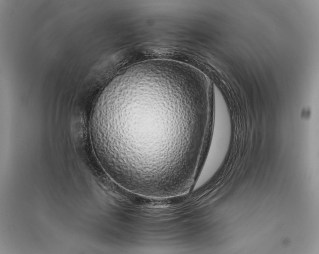 X0000090900651200708131353
