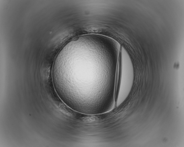 X0000090900652200708131353