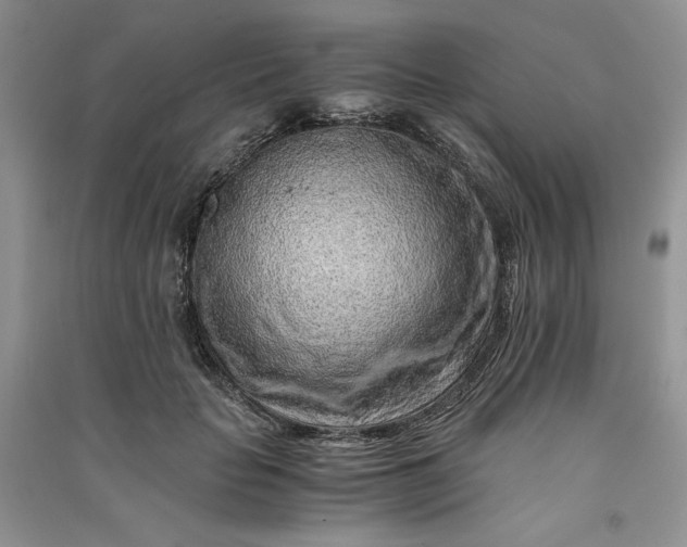 X0000090900653200708131353