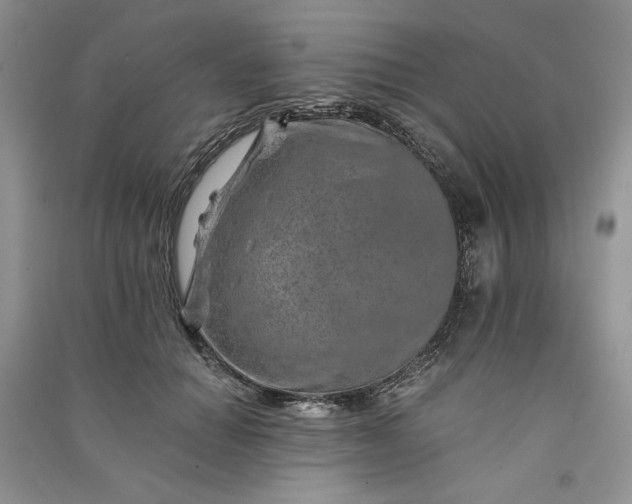 X0000090900654200708131353