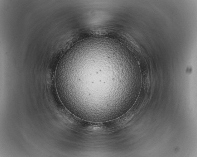 X0000090900655200708131353