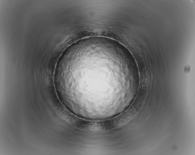 X0000090900656200708131353