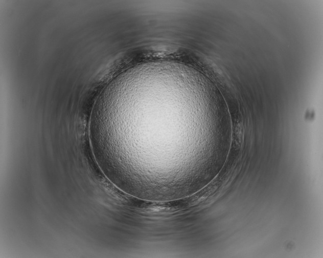 X0000090900657200708131353