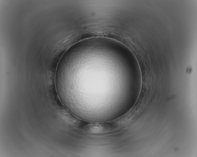 X0000090900658200708131353