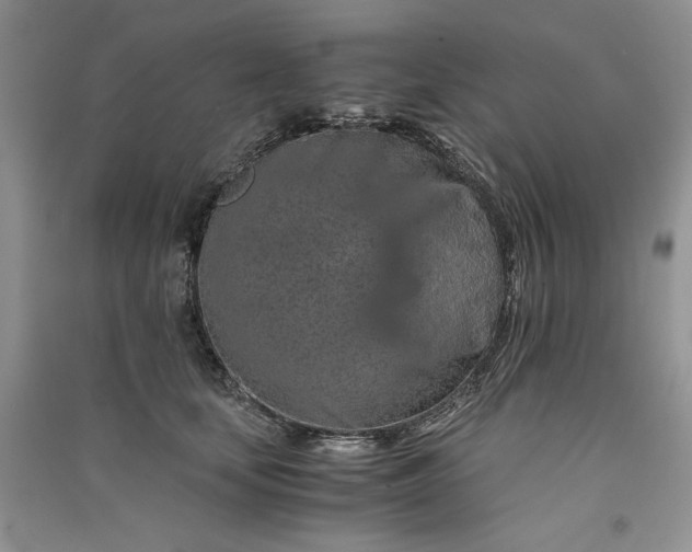X0000090900659200708131353