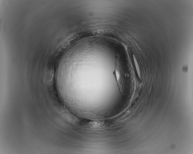 X0000090900660200708131353