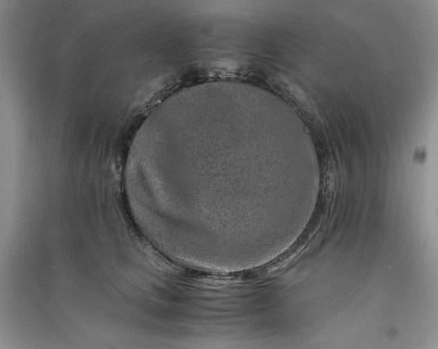 X0000090900661200708131353