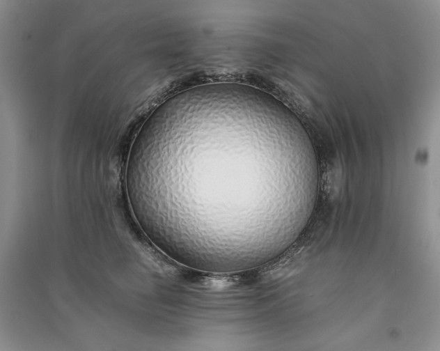X0000090900662200708131353