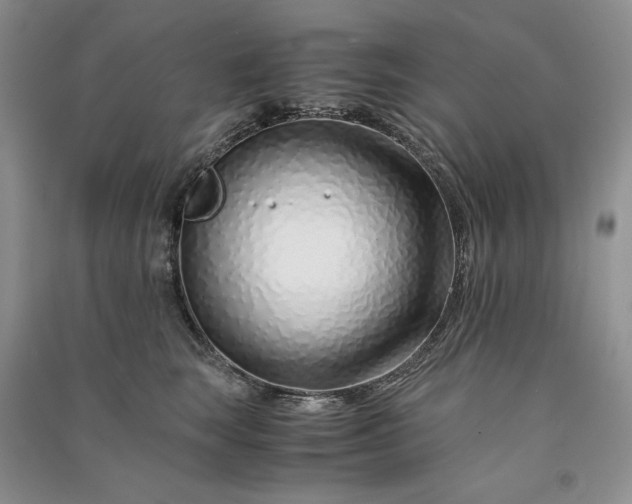 X0000090900663200708131353