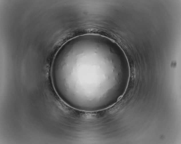 X0000090900664200708131353