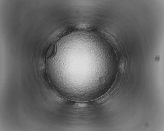 X0000090900665200708131353