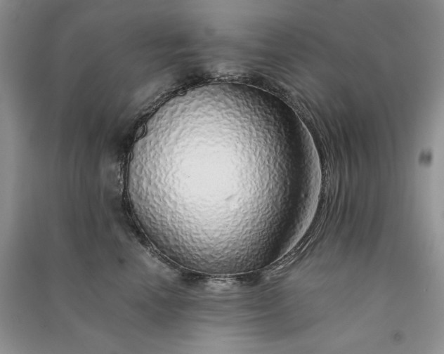 X0000090900666200708131353