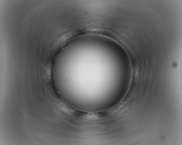X0000090900668200708131353