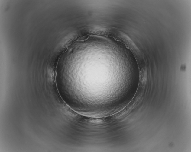 X0000090900669200708131353