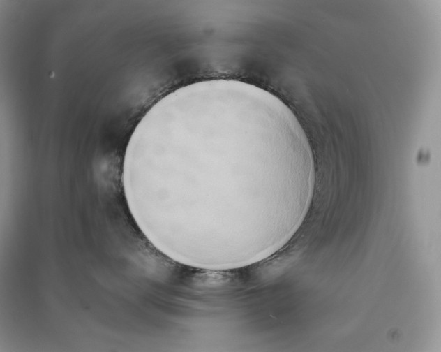 X0000090900672200708131353