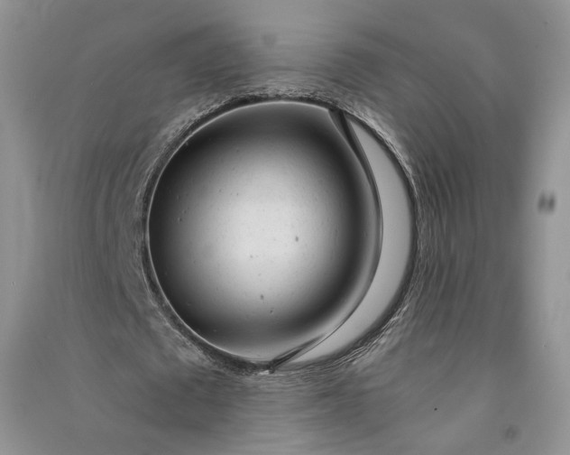X0000090900673200708131353