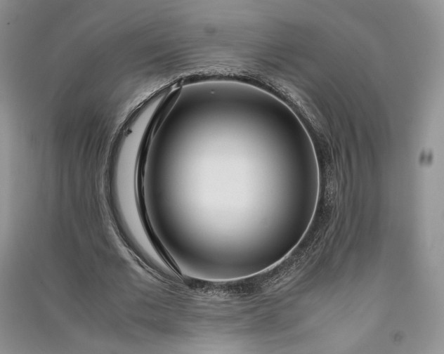 X0000090900677200708131353