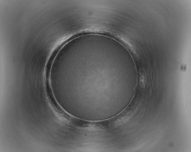 X0000090900678200708131353