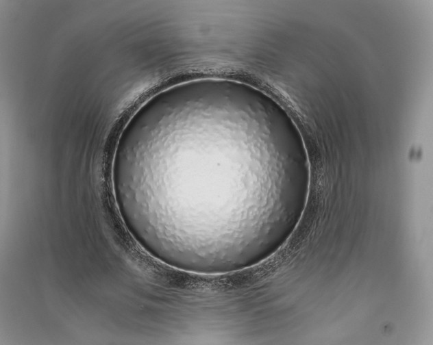 X0000090900679200708131353