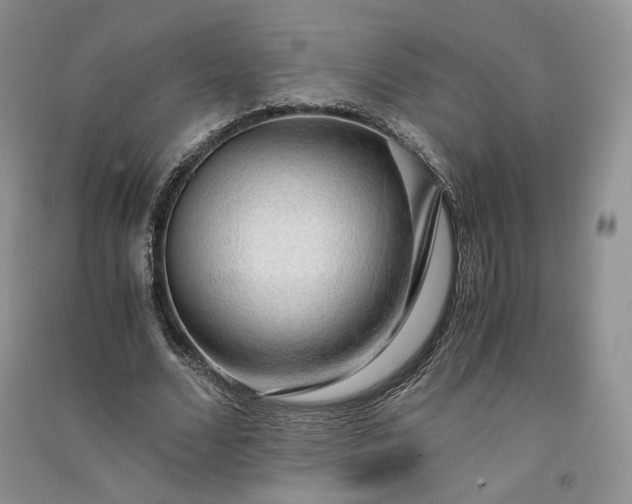 X0000090900680200708131353