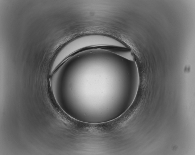 X0000090900681200708131353