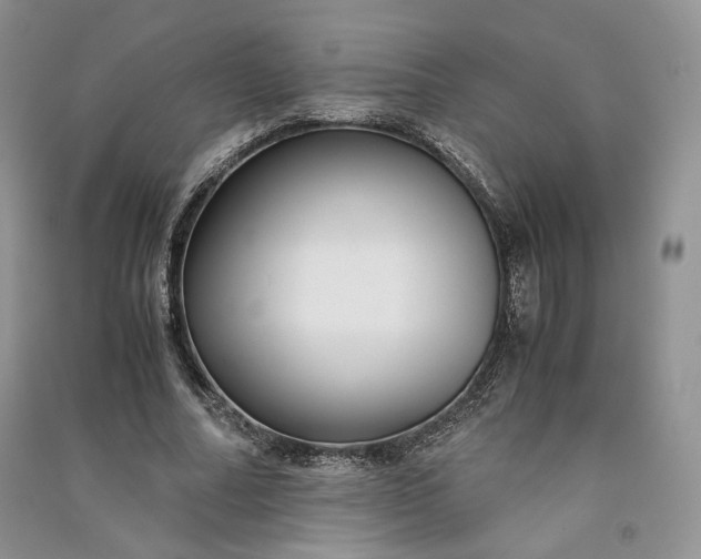 X0000090900682200708131353
