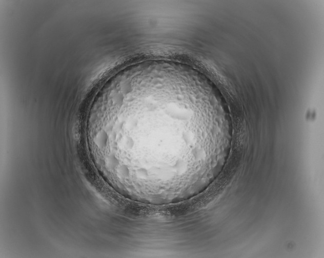X0000090900683200708131353